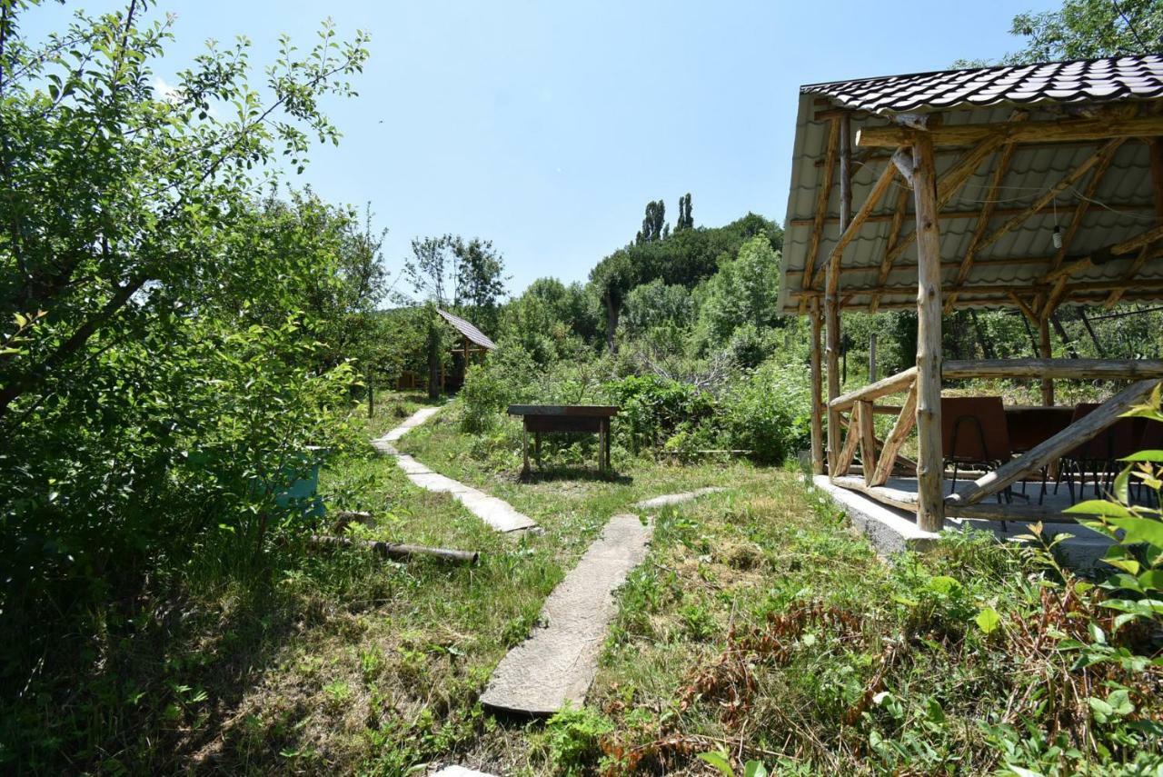 Guest House Arsan 萨克德佐尔镇 外观 照片